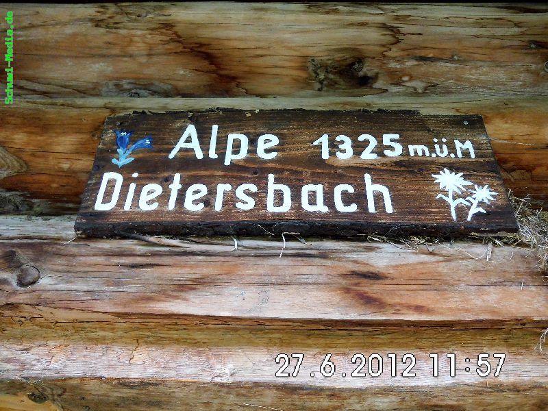 http://bergwandern.schuwi-media.de/galerie/cache/vs_Dietersbach-Alpe_dietersbachalpe_32.jpg