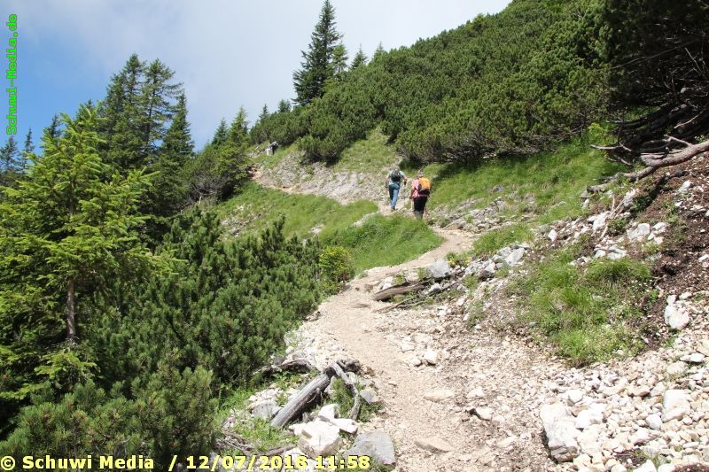http://bergwandern.schuwi-media.de/galerie/cache/vs_FuessenerHuette-Adlerhorst_fuessener_18.jpg