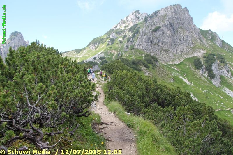 http://bergwandern.schuwi-media.de/galerie/cache/vs_FuessenerHuette-Adlerhorst_fuessener_19.jpg