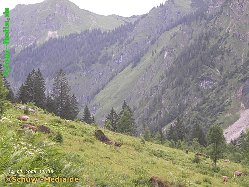 http://bergwandern.schuwi-media.de/galerie/cache/vs_Kaeseralpe-Oberstdorf_kaeseralpe22.jpg