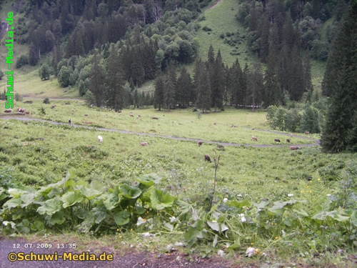 http://bergwandern.schuwi-media.de/galerie/cache/vs_Kaeseralpe-Oberstdorf_kaeseralpe23.jpg
