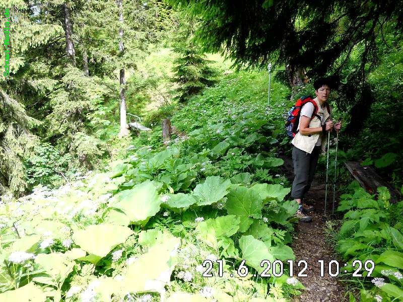 http://bergwandern.schuwi-media.de/galerie/cache/vs_Palmweg-Hinterstein_palmweg_11.jpg