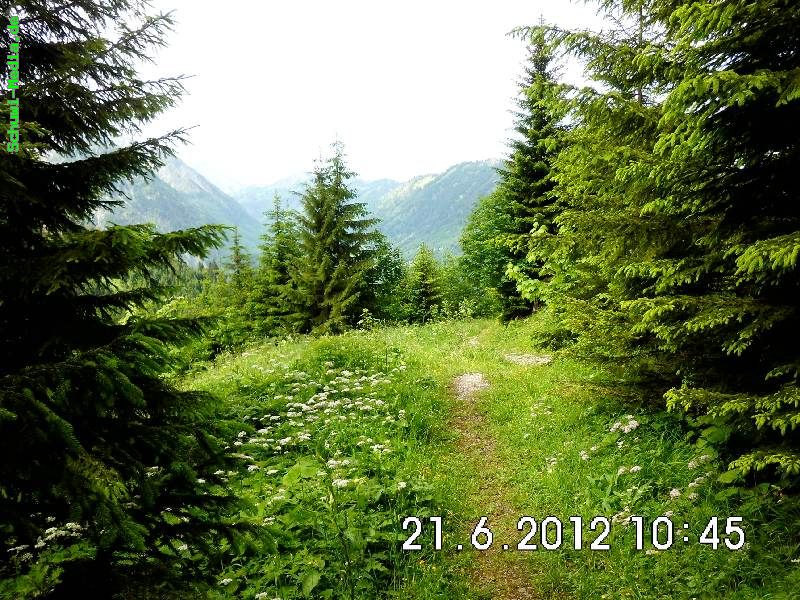 http://bergwandern.schuwi-media.de/galerie/cache/vs_Palmweg-Hinterstein_palmweg_14.jpg