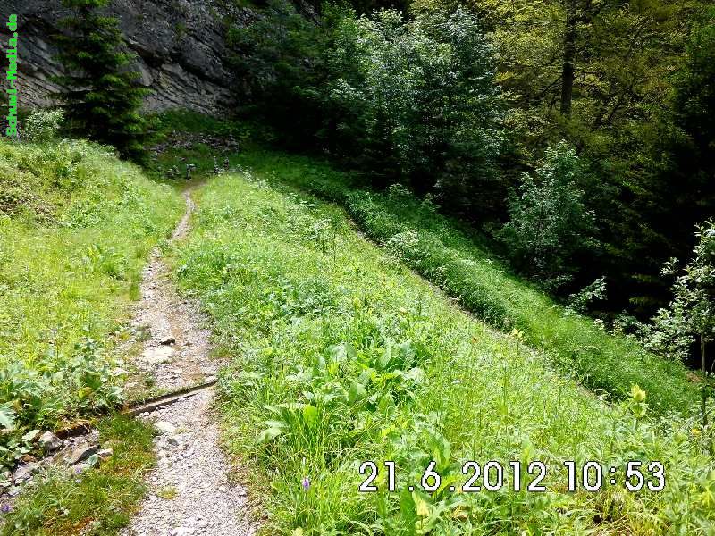 http://bergwandern.schuwi-media.de/galerie/cache/vs_Palmweg-Hinterstein_palmweg_17.jpg