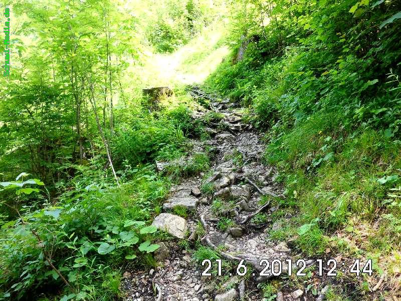 http://bergwandern.schuwi-media.de/galerie/cache/vs_Palmweg-Hinterstein_palmweg_37.jpg
