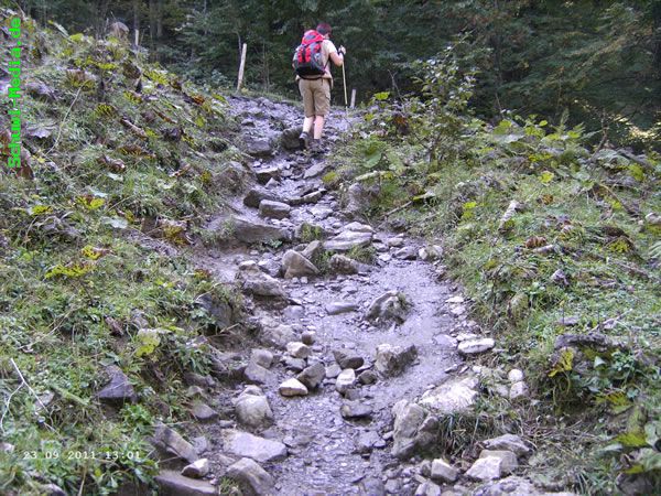 http://bergwandern.schuwi-media.de/galerie/cache/vs_Petersalpe_petersalpe10.jpg