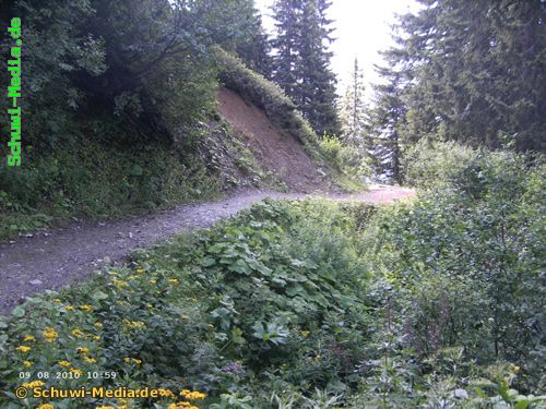 http://bergwandern.schuwi-media.de/galerie/cache/vs_Stutzalpe_stutz09.jpg