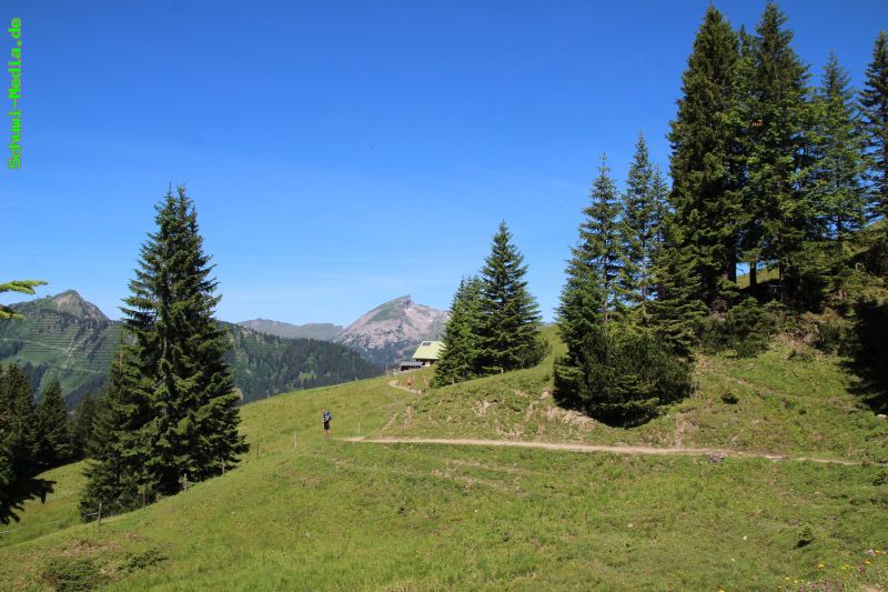 http://bergwandern.schuwi-media.de/galerie/cache/vs_Wannenalpe_wannen_06.jpg