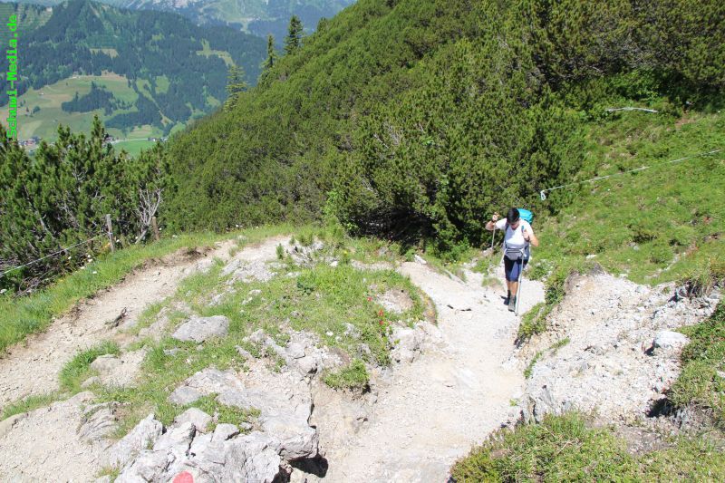 http://bergwandern.schuwi-media.de/galerie/cache/vs_Wannenalpe_wannen_14.jpg