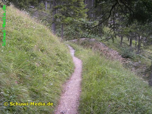 http://bergwandern.schuwi-media.de/galerie/cache/vs_Willers%20Alpe_willersalpe21.jpg