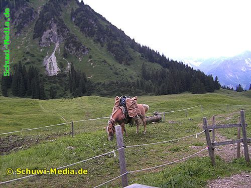 http://bergwandern.schuwi-media.de/galerie/cache/vs_Willers%20Alpe_willersalpe31.jpg